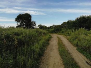 Empty road along plants and trees against sky