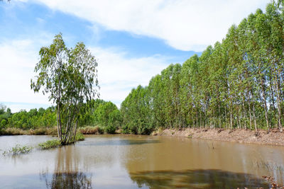 Scenic view of lake against sky