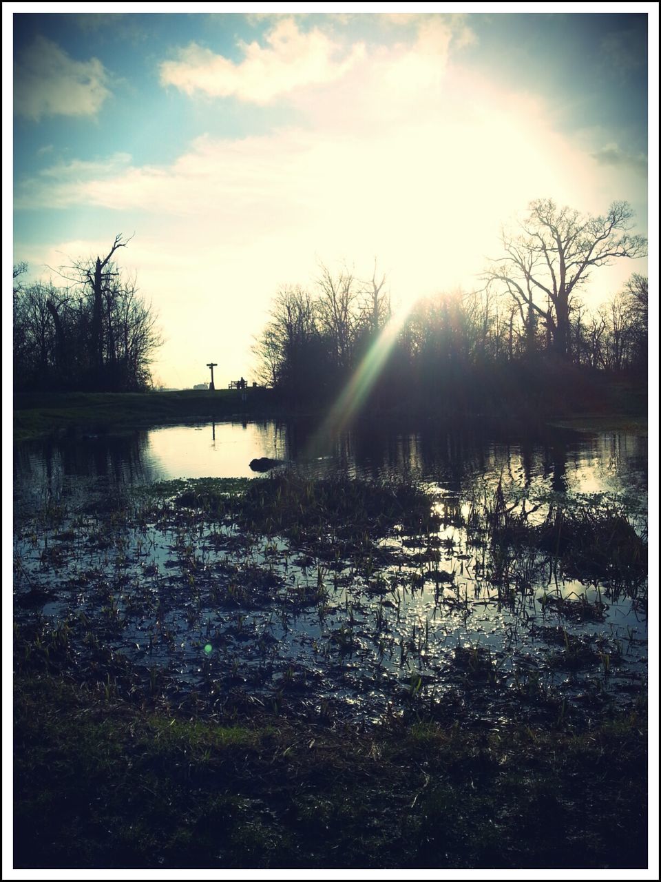 water, sun, reflection, lake, sky, tranquility, tranquil scene, transfer print, sunlight, scenics, beauty in nature, sunset, nature, sunbeam, river, auto post production filter, tree, cloud - sky, silhouette, lens flare