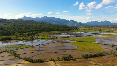 Rice fields are flooded with water. tropical landscape with fertile soil.