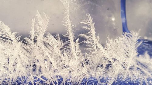 Close-up of wet window during winter