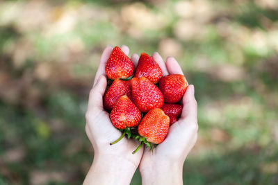 Close-up of hand holding strawberry