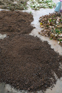 High angle view of messy field