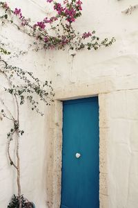 Turquoise door in a white building, bright house, ostuni, a tree blooming next to the sea door