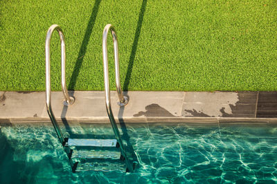 Plants growing in swimming pool