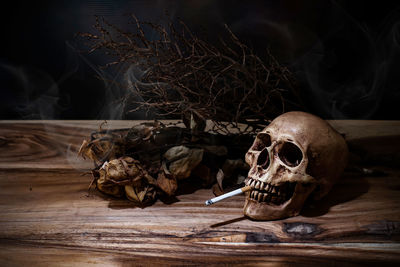 Human skull with cigarette by dried plant on wooden table