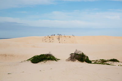 Scenic view of desert against sky