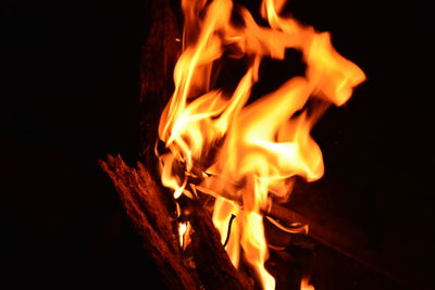 Close-up of bonfire at night