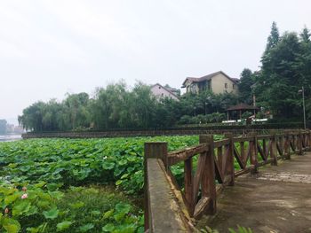 Scenic view of agricultural field by buildings against sky