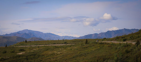 Scenic view of field against sky