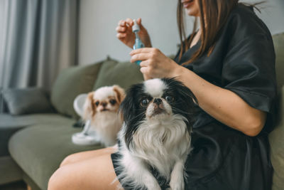 Portrait of woman with dogs