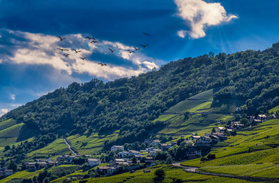 Scenic view of agricultural field against sky