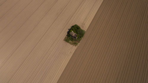 High angle view of house and trees amidst ploughed agricultural field