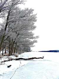 Scenic view of snow covered landscape