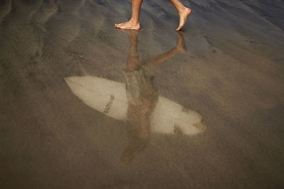 Reflection of man on wet sand while carrying surfboard at beach