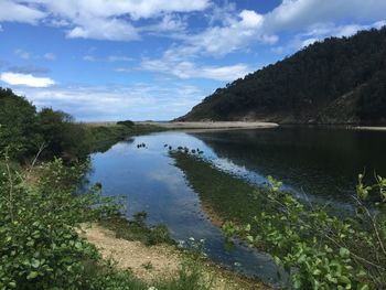 Scenic view of river against cloudy sky