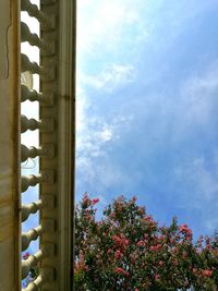 Low angle view of building against blue sky