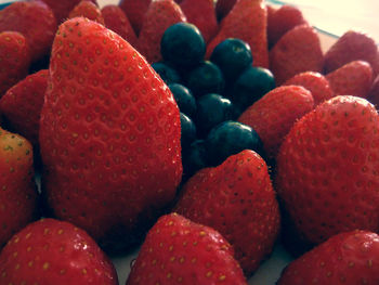 Close-up of red fruits