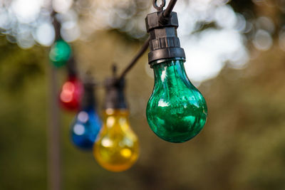 Close-up of light bulbs