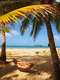 Palm tree on beach against sky