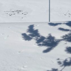 High angle view of footprints on snow