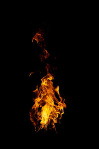 Close-up of fire against black background