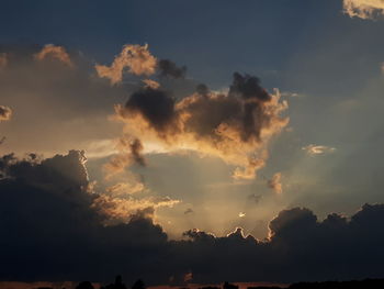 Low angle view of silhouette trees against sky during sunset