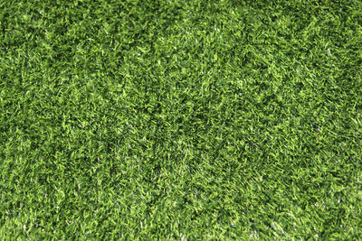 The green artificial grass. using as background or wallpaper