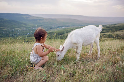 Baby boy playing in the field with a small goat