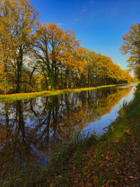 Scenic view of lake by trees in forest against sky