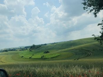 Scenic view of agricultural field against sky