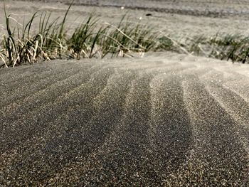 Surface level of sandy beach