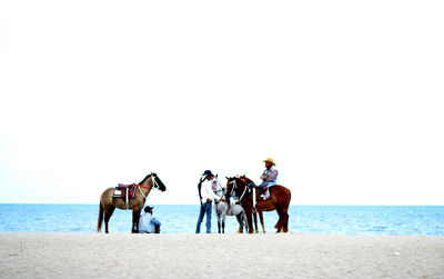 People riding horse on beach against clear sky