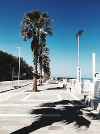 Palm trees by street against blue sky