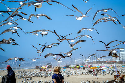 People at beach against sky