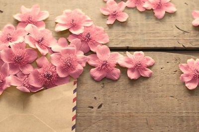 High angle view of pink flowering plants on table