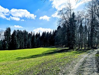 Trees on field against sky