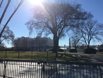 Bare trees against clear sky