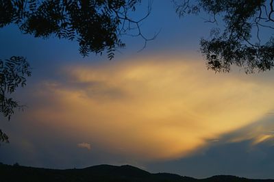 Silhouette of trees against cloudy sky