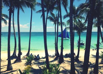 Palm trees on beach against sea