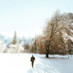 Rear view of man walking on snow covered field