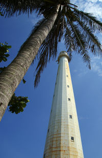 Low angle view of palm tree and building against sky