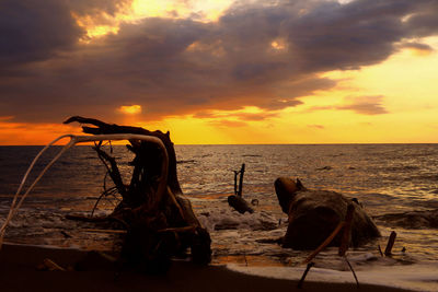 Scenic view of sea at sunset