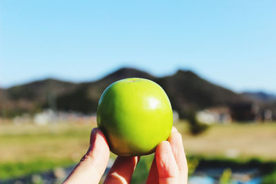 Cropped image of person holding apple against clear sky