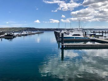 Sailboats in marina