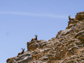 Low angle view of rock formation against clear sky