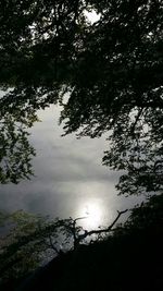 Scenic view of trees against sky