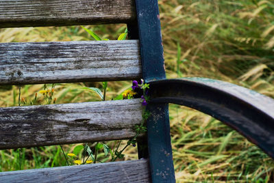 High angle view of bench in park
