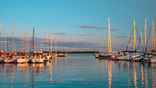 Sailboats moored in sea against sky