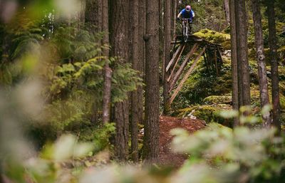 Person riding bike in forest